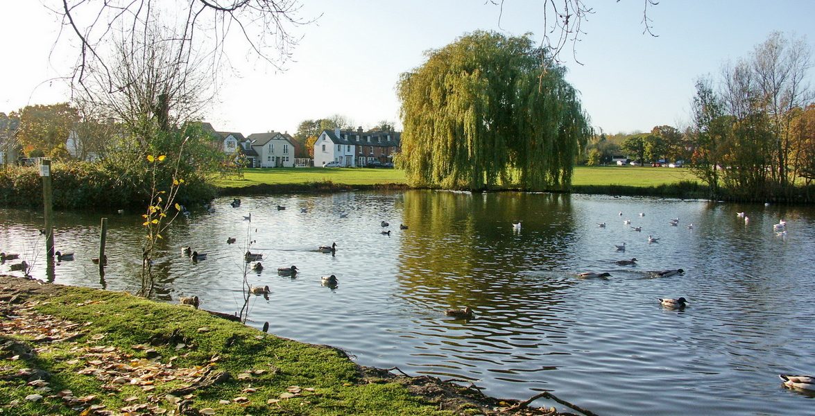 THEYDON-BOIS-pond-new-1175x600